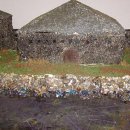 Roemer in Altrip - 050